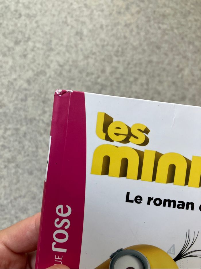 Les minions: le roman du film (1€50) - photo numéro 4