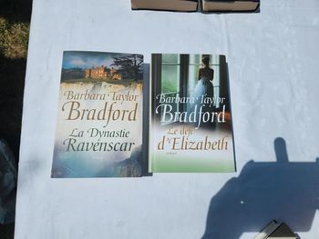 Lot de 2 livres de Barbara Taylor Bradford