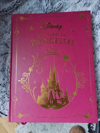 Histoires de princesse disney