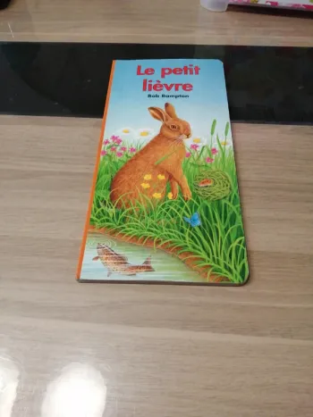 Le petit lièvre