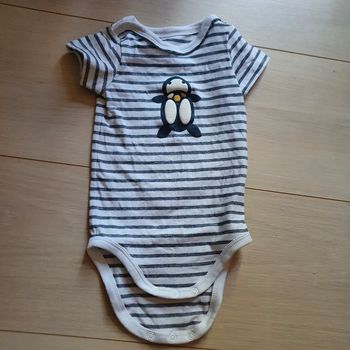 Body manches courtes