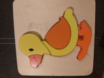 Puzzle canard