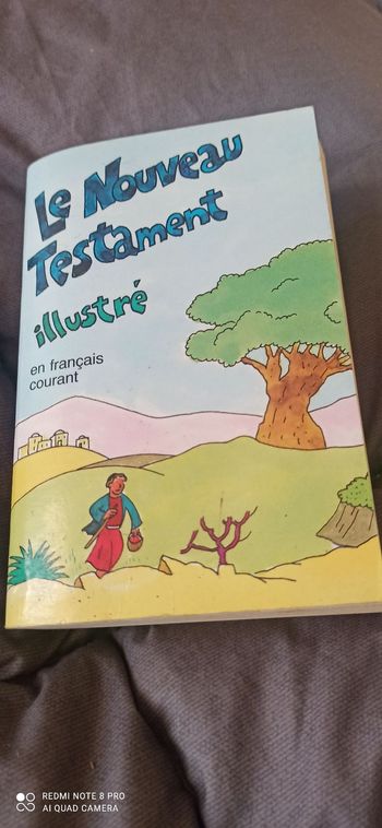 Livre le nouveau testament illustre