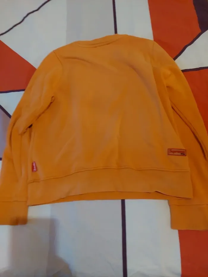 Sweat supreme - photo numéro 4