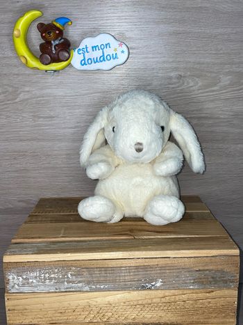 BK158 doudou lapin 🐰 Bukowski