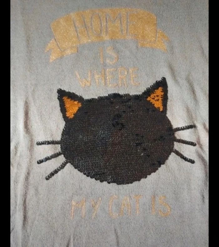 Pull tête de chat qui change de couleur 12 ans - photo numéro 2