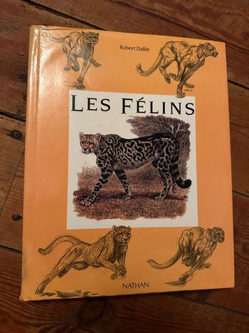 Les Félins Robert Dallet livre encyclopédique illustrations réalistes Nathan