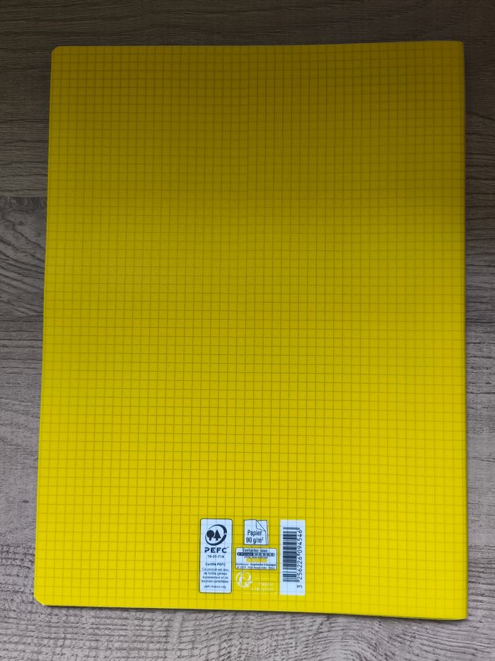 Lot de 3 cahiers petits carreaux - photo numéro 3