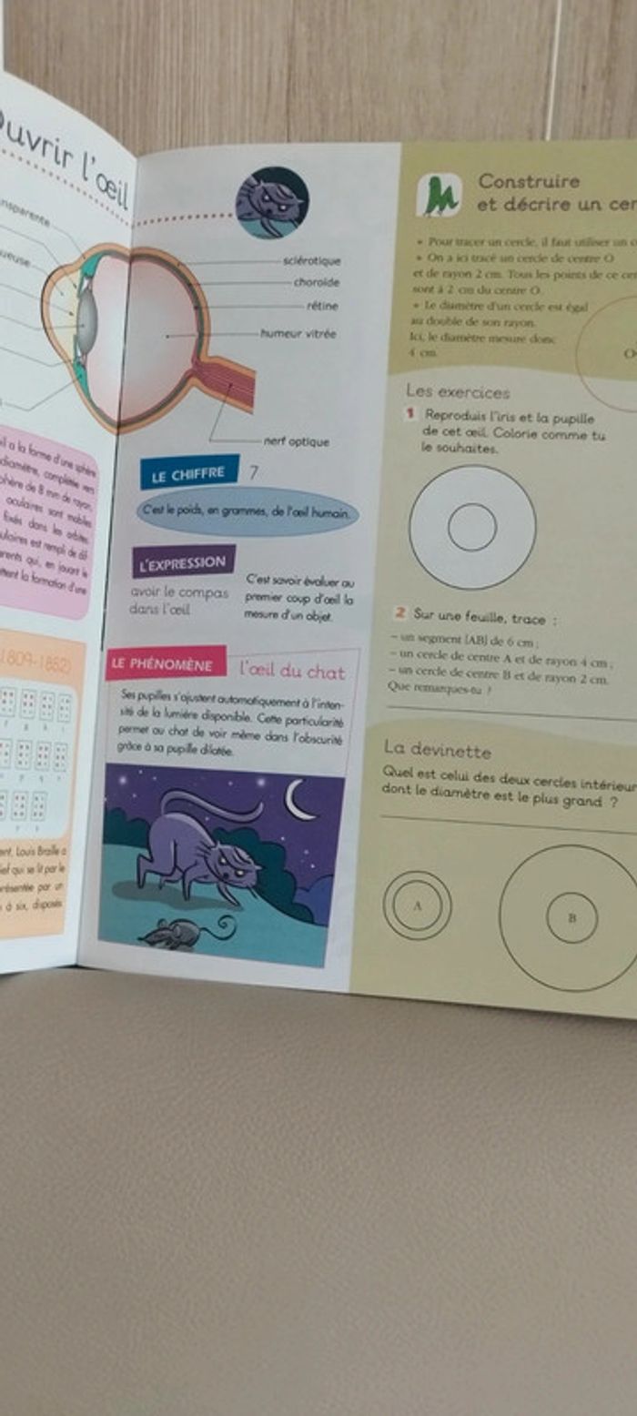 Cahier de vacances CM2-6e - photo numéro 3