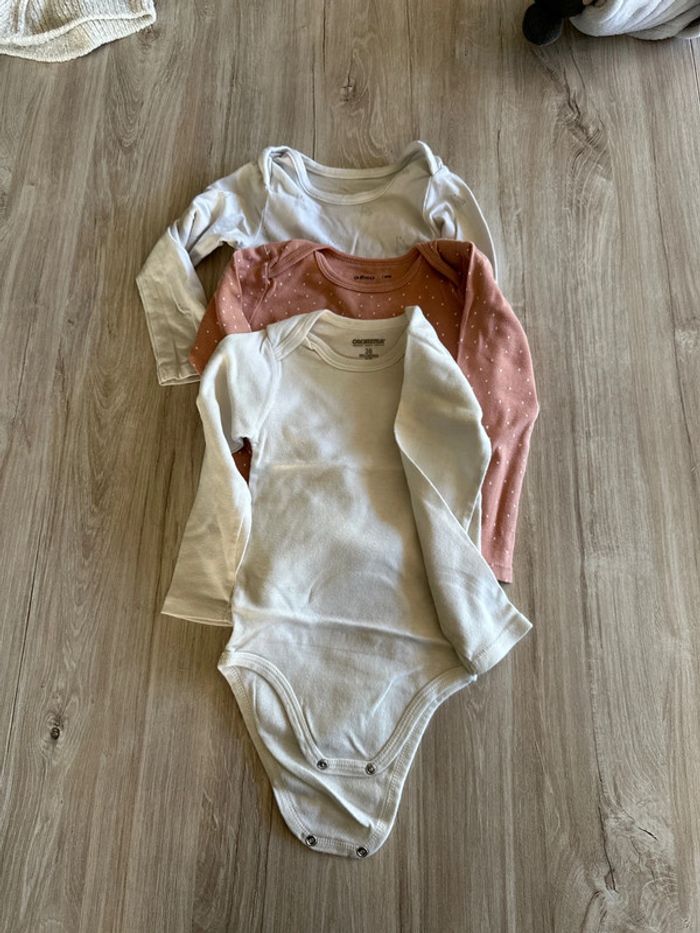 Lot 3 bodies