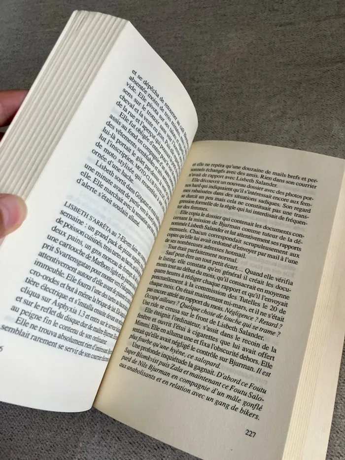 Millénium tome 2 : La fille qui rêvait d’un bidon d’essence et d’une allumette – Stieg Larsson - photo numéro 5