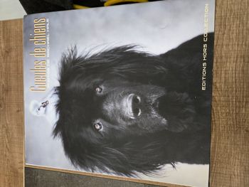 livre "gueules de chien"