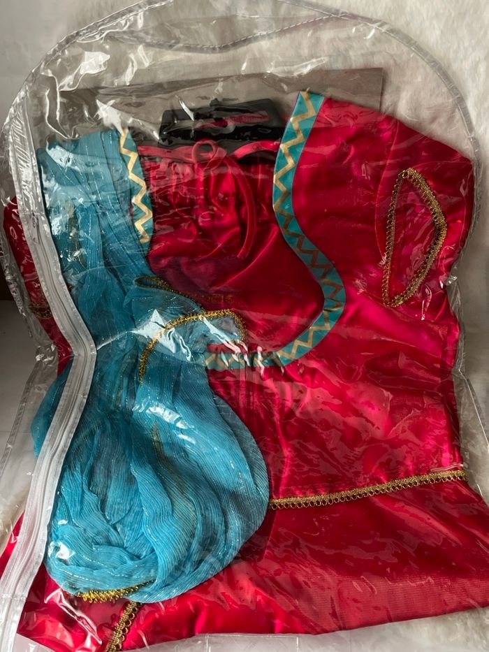 Déguisement Hindoue, Indien, Bollywood, Maharani rosé et turquoise taille L - photo numéro 3