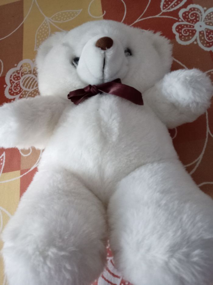 Peluche - photo numéro 2