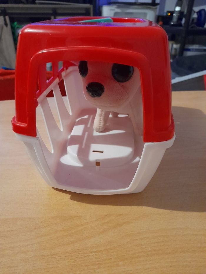 Chien avec caisse de transport - photo numéro 4