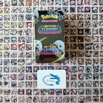 Demi Display Pokémon ME02 Flammes Fantasmagoriques 