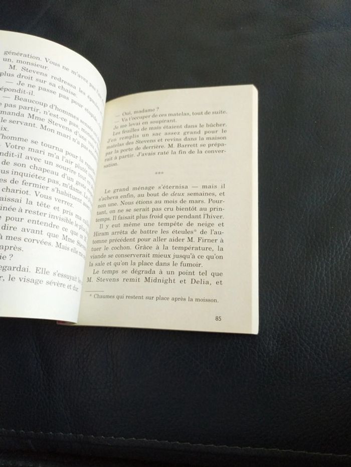 Katie et le cheval sauvage de Kathleen Duey - photo numéro 4