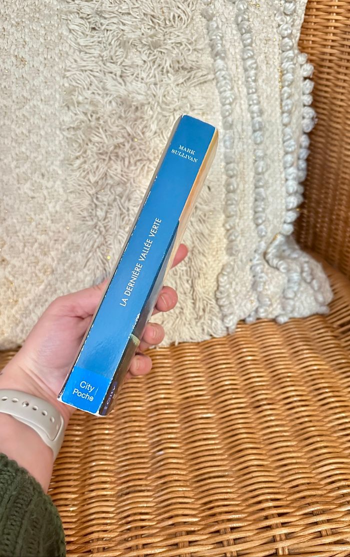 💜 livre poche la dernière vallée verte 💜 - photo numéro 4