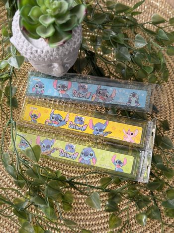 Lots de 3 règles stitch