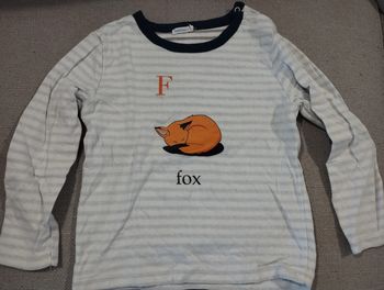 Tee shirt renard manches longues bio