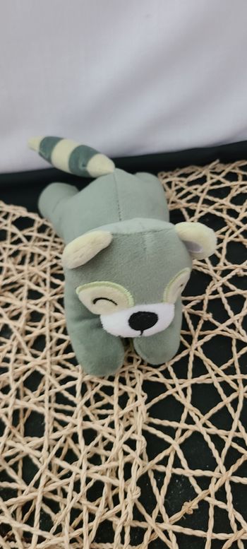 Raton laveur en peluche