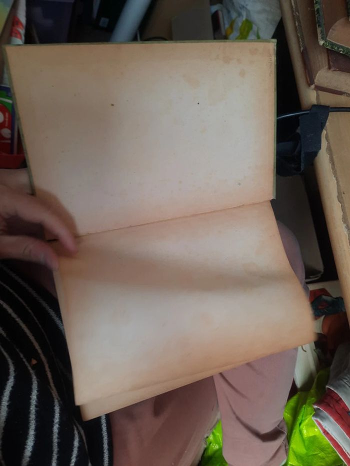 Livre en allemand allemand duchs verbotene land p h - photo numéro 6