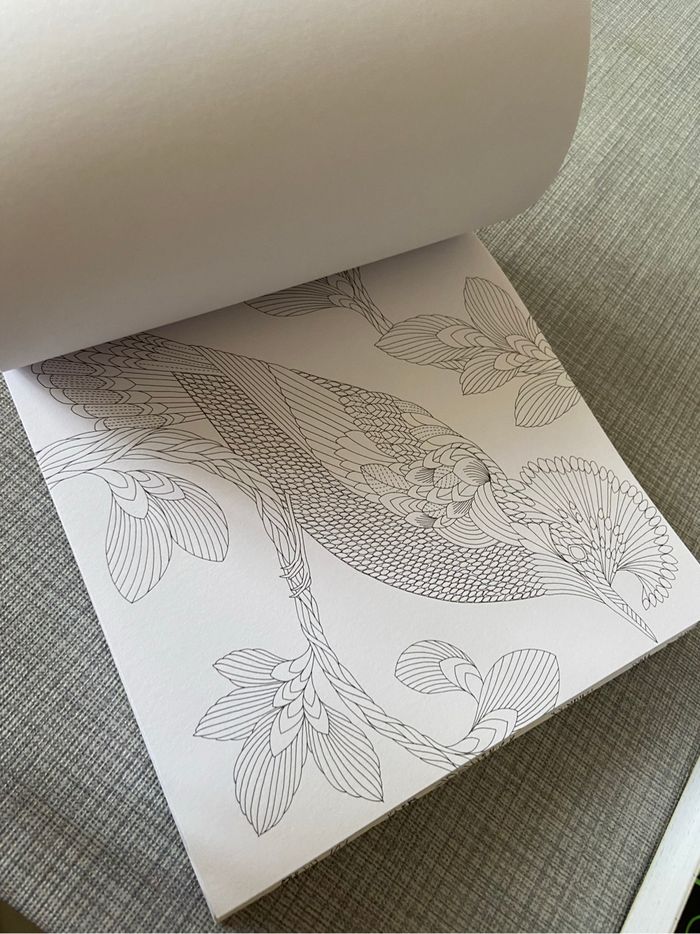 Lot livres dessin mandala - photo numéro 6