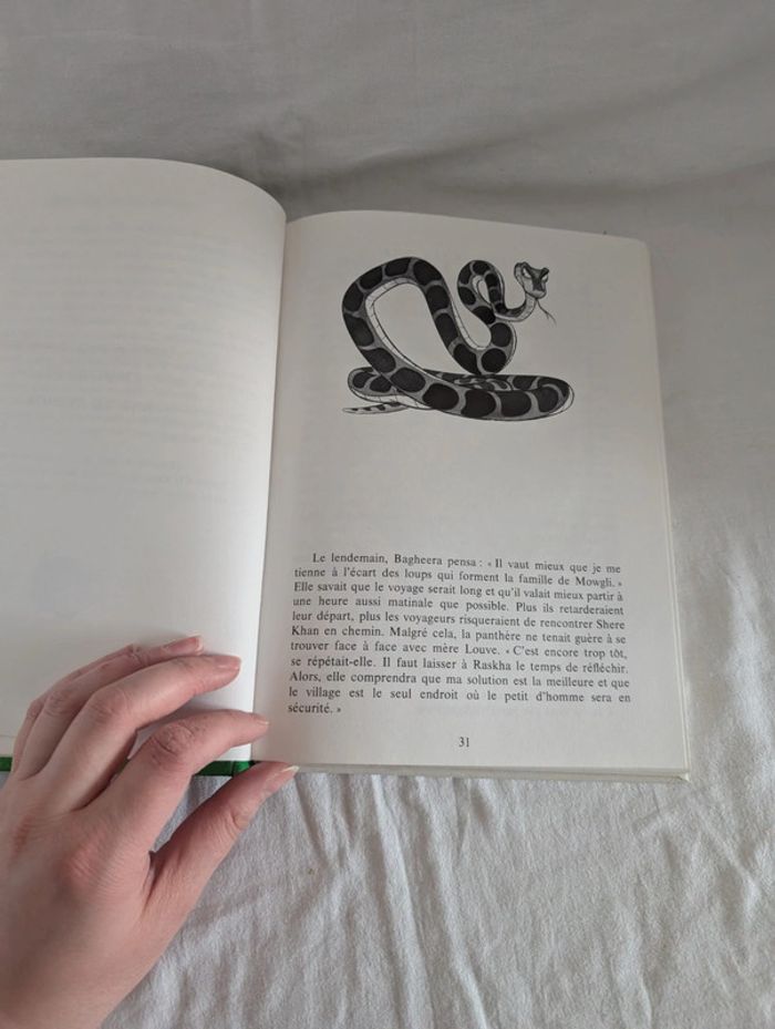 Livre : Le livre de la jungle - Hachette - photo numéro 5