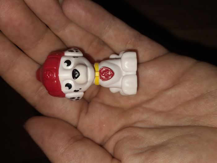 Pat patrouille - photo numéro 7