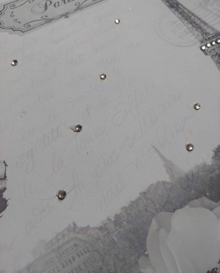 Toile fond blanc tour Eiffel Paris strass BE 🗼 - photo numéro 4