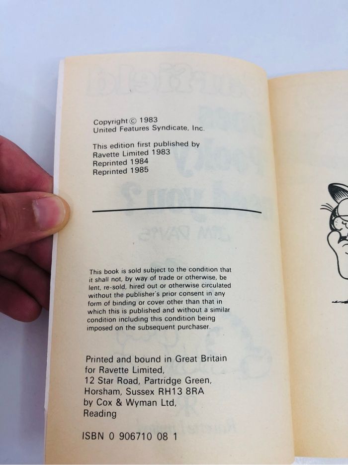 Garfield Does Polly need you? Édition en anglais - photo numéro 4