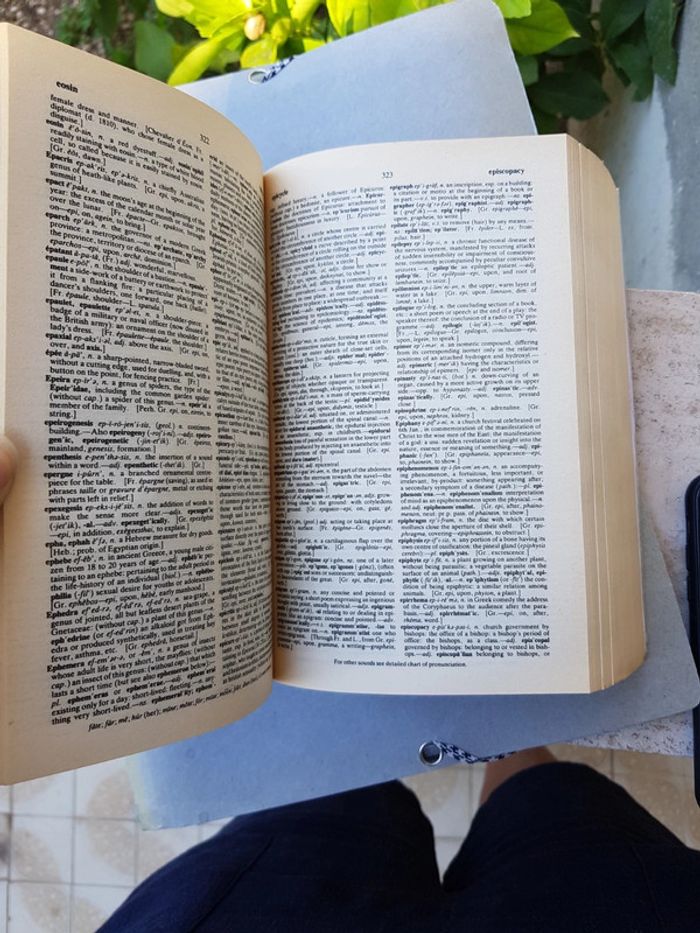 Concise English Dictionnary - photo numéro 3