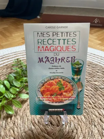 Livres - mes petites recettes magiques du Maghreb