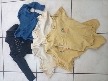 Lot bodys 24m