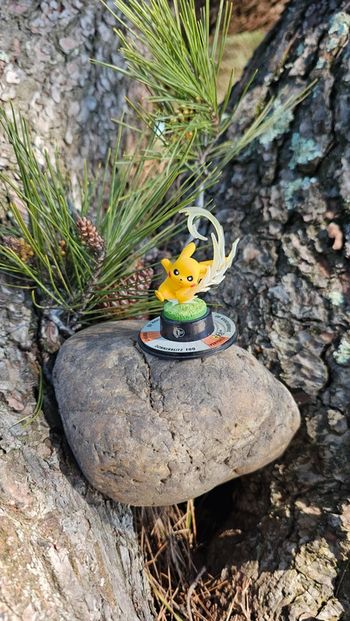 Super figurine Pokemon Nintendo next quest pikachu