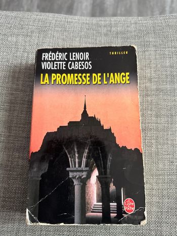 Livre la promesse de l’ange