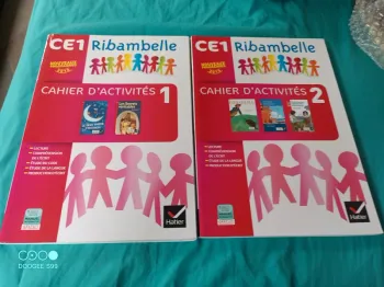 Lot de 2 cahiers d'activités