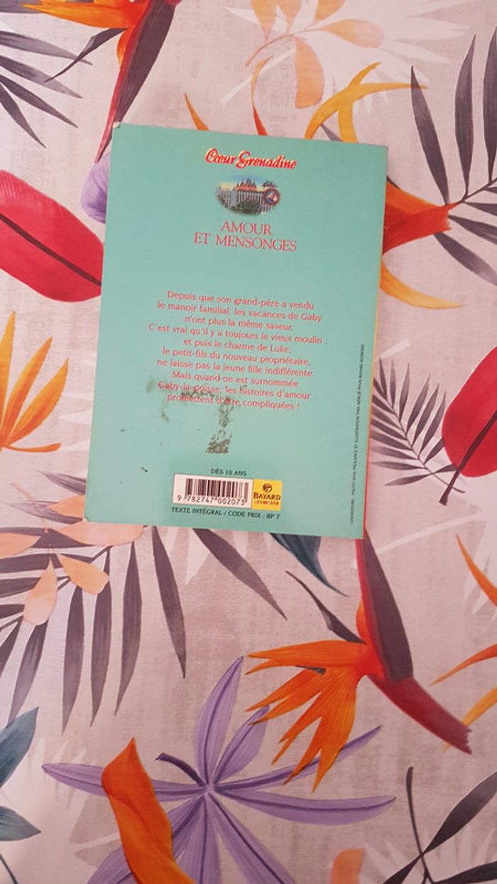 Livres Coeur Grenadine - photo numéro 5