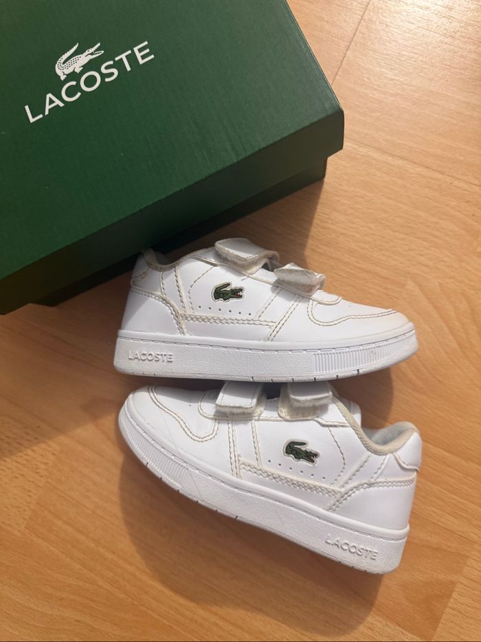 Basket Lacoste