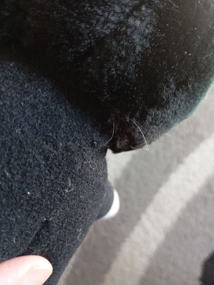 Peluche - photo numéro 6