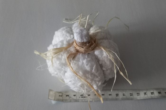 Citrouilles - photo numéro 7