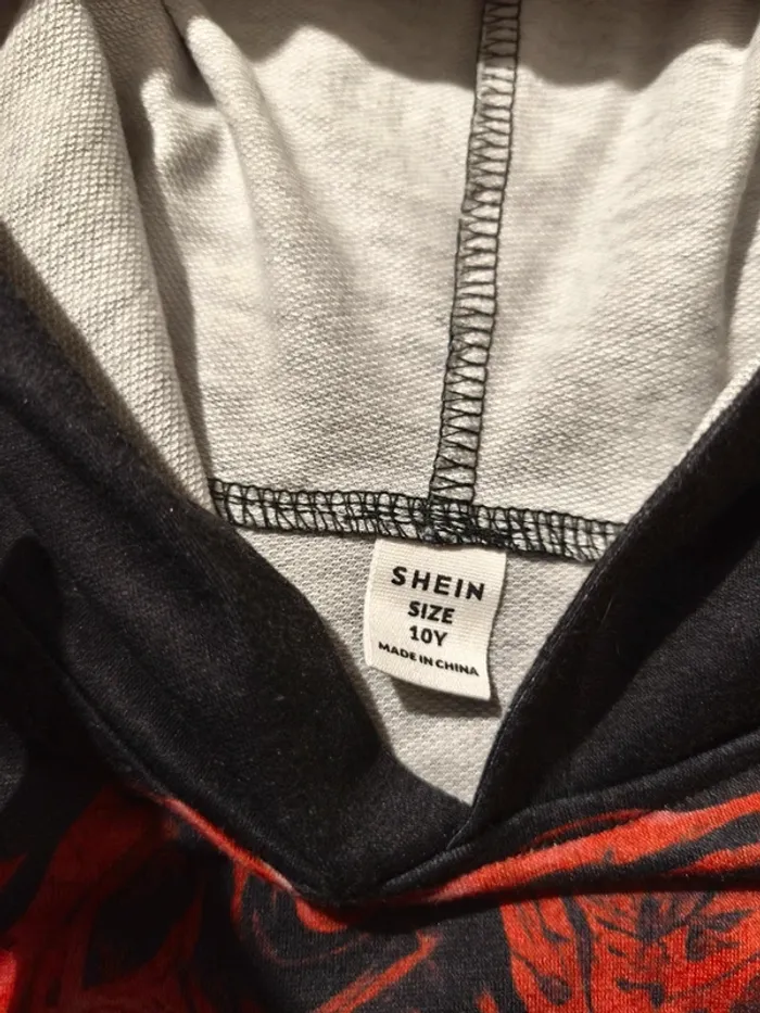 Sweat à capuche Shein 10 ans - photo numéro 5