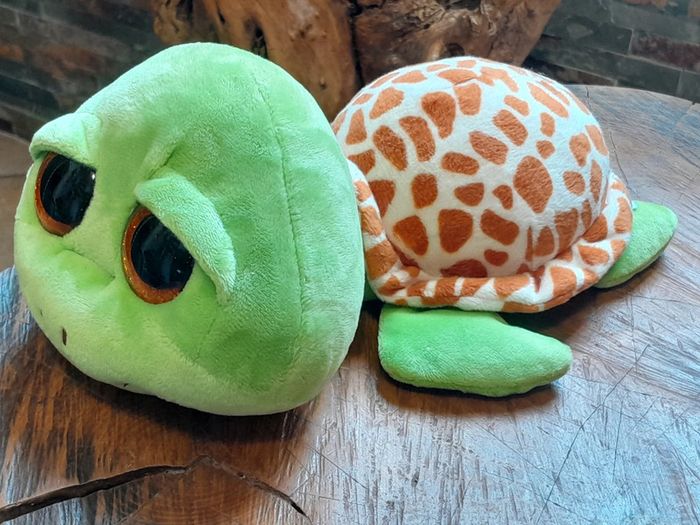 Peluche Tortue.  C sheeran