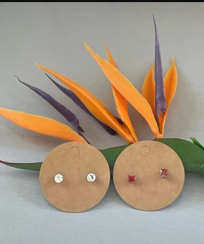 Lot de 2 paires de boucles d’oreilles neuves