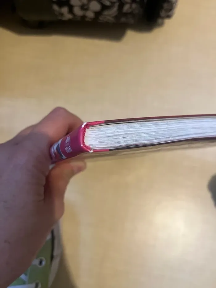 Libre la bibliothèque rose ( miraculous ) - photo numéro 6