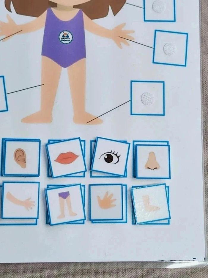 Fiche à scratch parties du corps fille Montessori - photo numéro 3