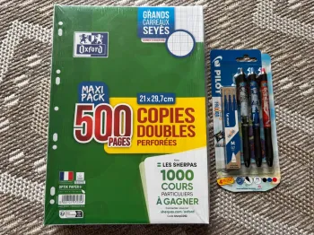 Lot feuilles copie doubles Oxford et stylos frixion effaçables