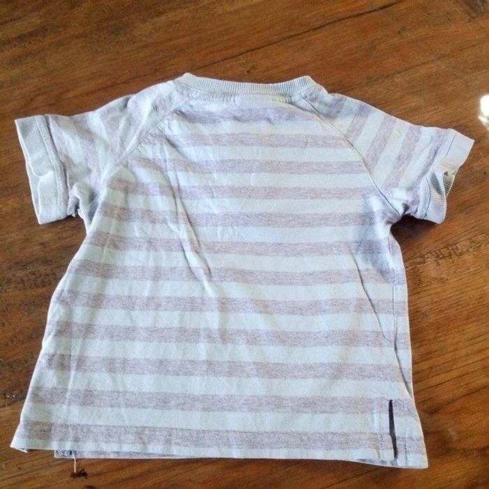 Tee-shirt sergent major salamandre - photo numéro 2