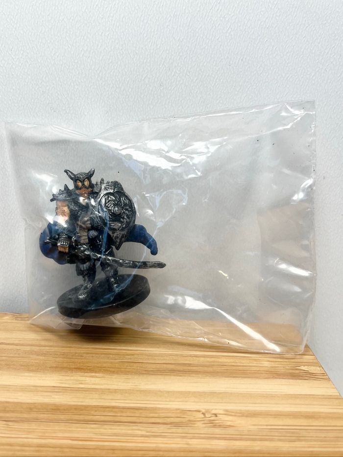 Lot 2 figurines Wizards of the Coast /  Dungeons & Dragons : Hero of Valhalla - 2006 - photo numéro 7