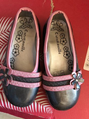 Jolie paire de ballerines grises et roses T. 24
